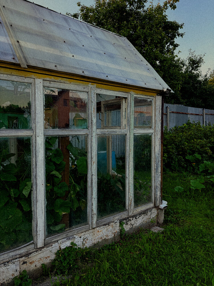Photo #13823170