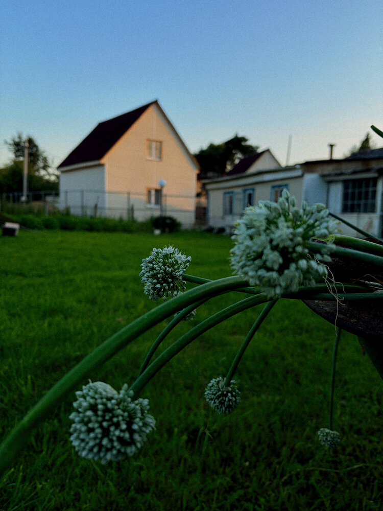 Photo #13823171