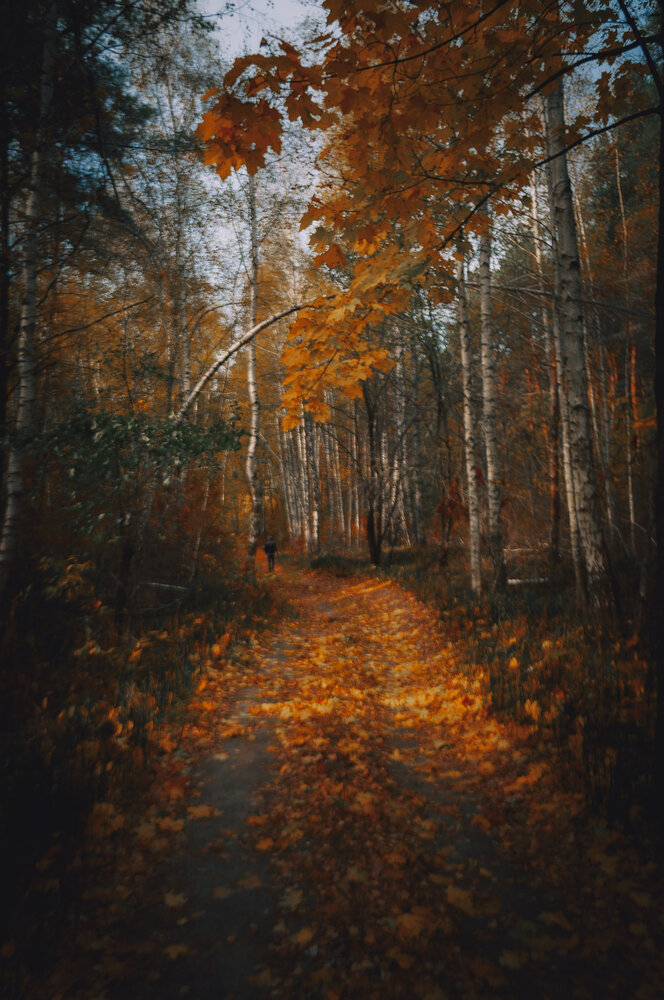 Photograph by Ольга Глущенко