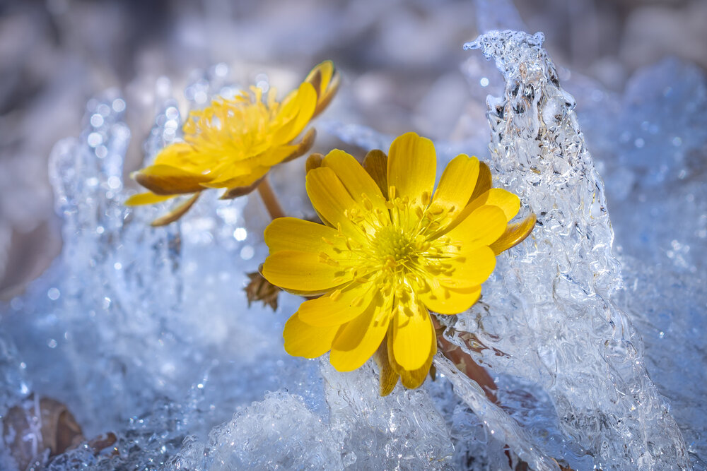 Photograph by Ольга Мусиенко