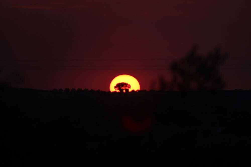 Photograph by Francisco Ferreira