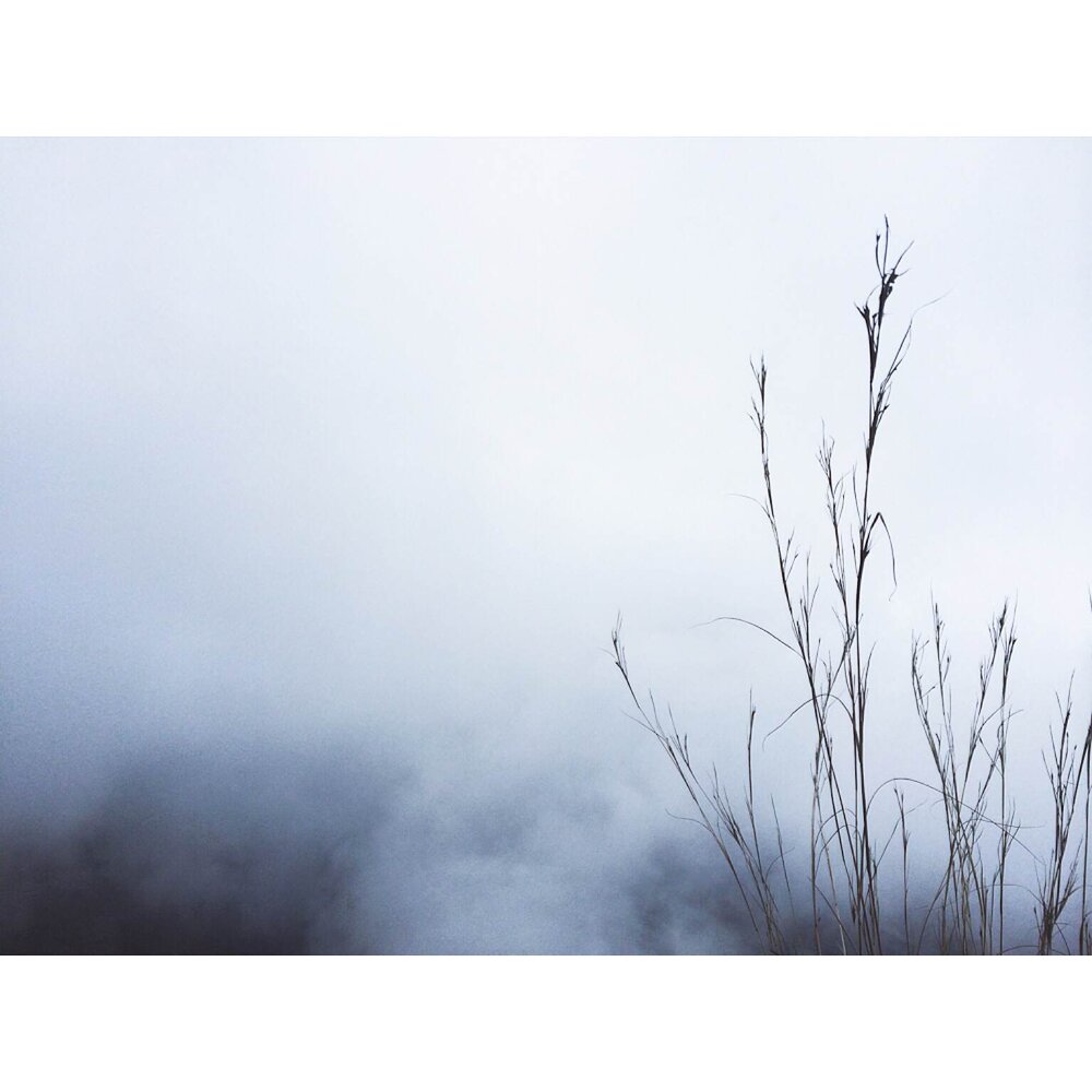 Photo #13823409