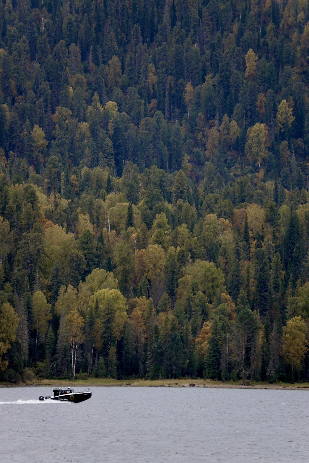 Photo #13823414