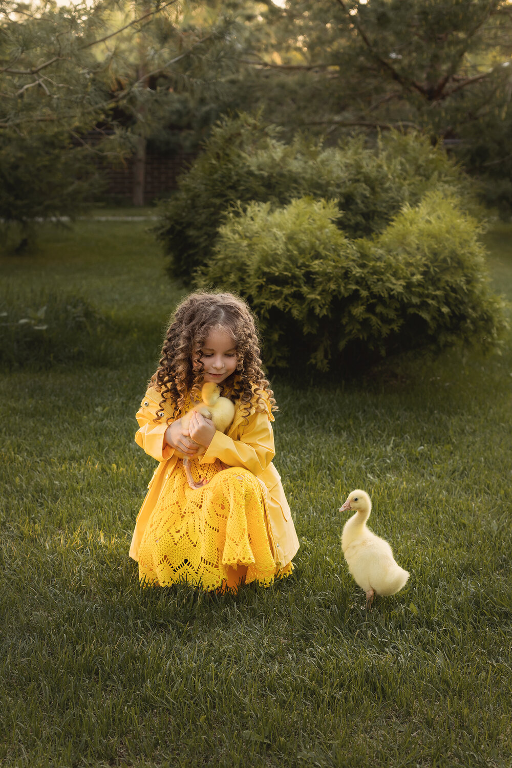 Photo #13823426