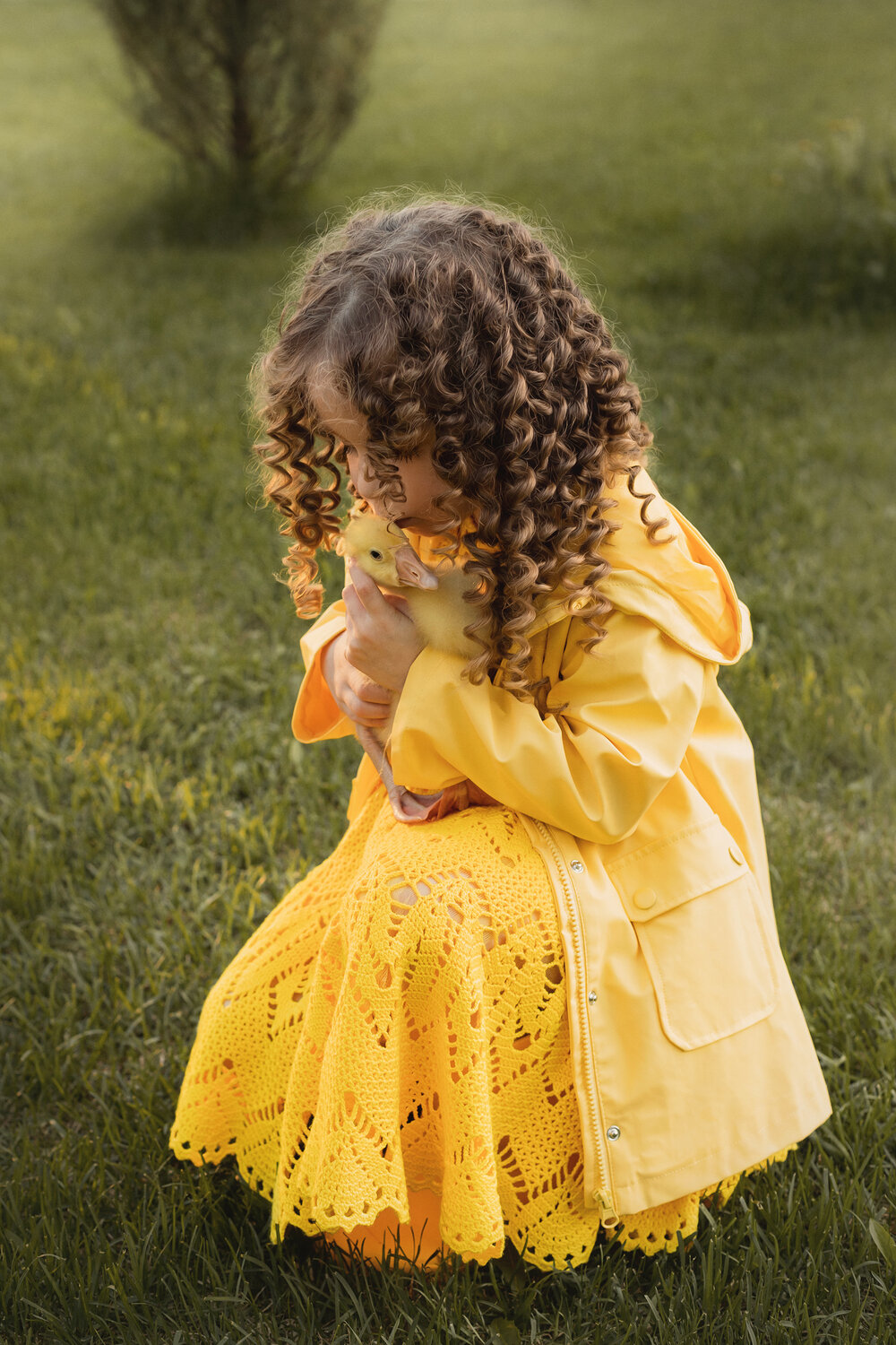 Photo #13823428