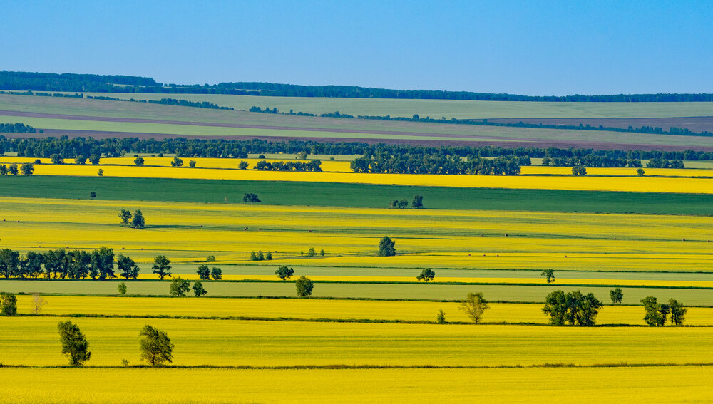 Photograph by Владислав Назаренко