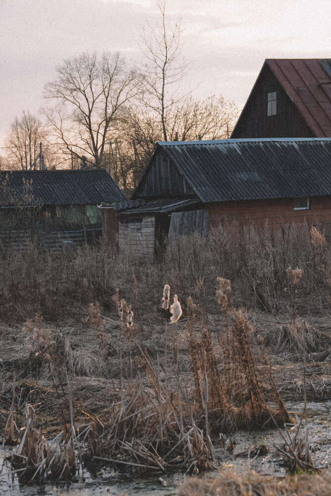 Photograph by Ирина Шауро
