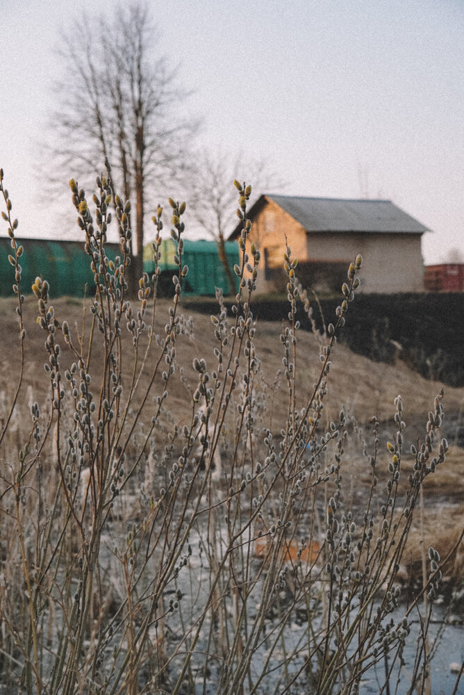 Photograph by Ирина Шауро