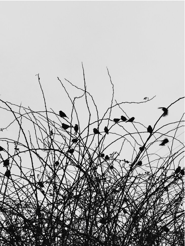 Photograph by Александр Дерябин