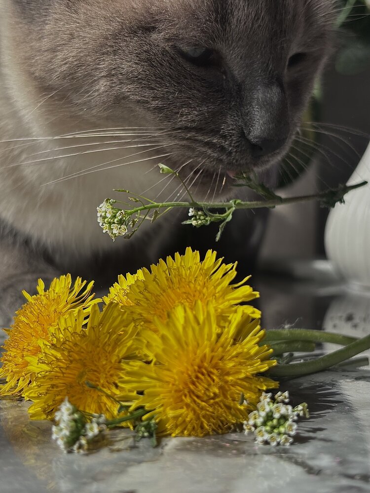 Photograph by Елена Яковлева