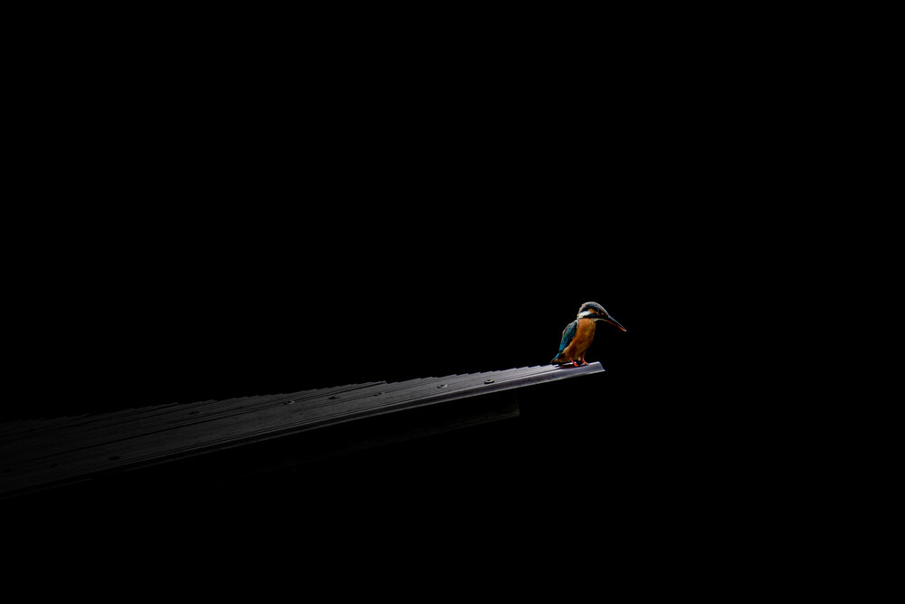On the edge