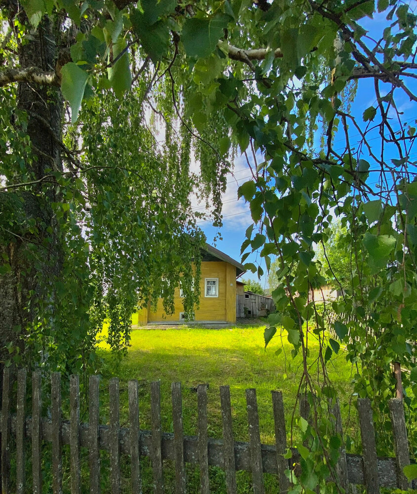 Photograph by Наталья Тарабычина