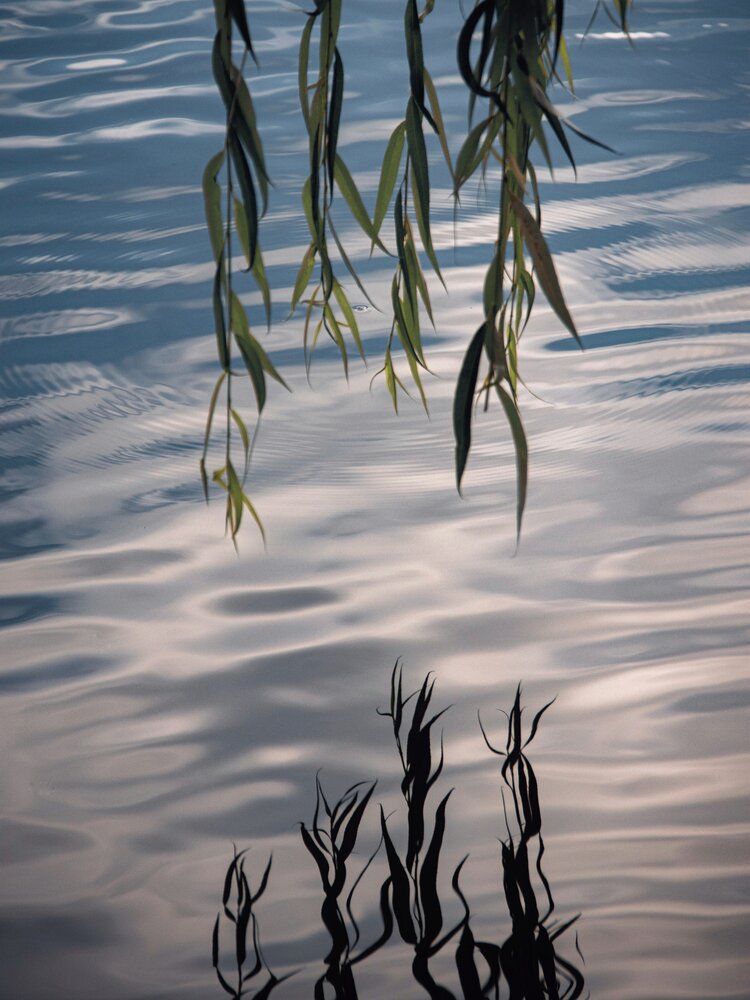 Photograph by Анна Любимова