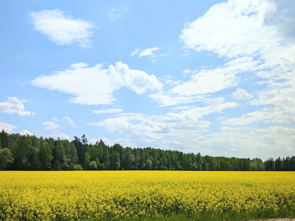 Photograph by Рузинова Елена