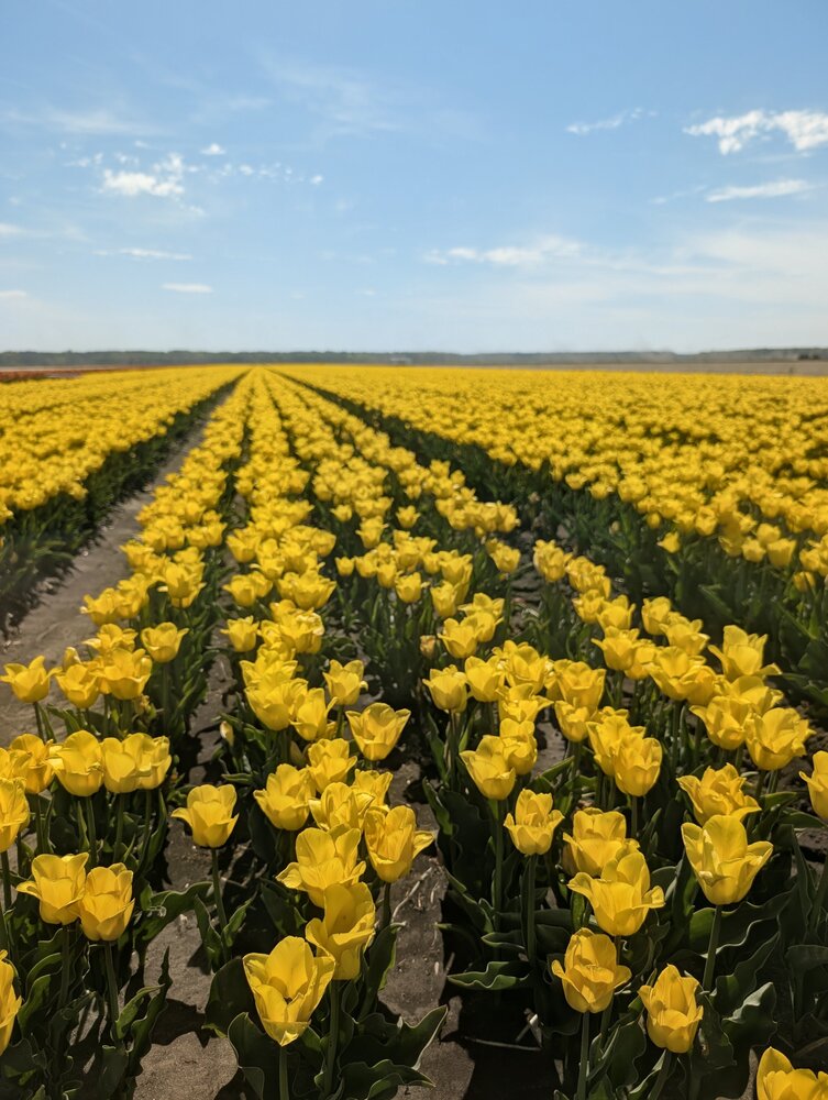 Photograph by Рузинова Елена