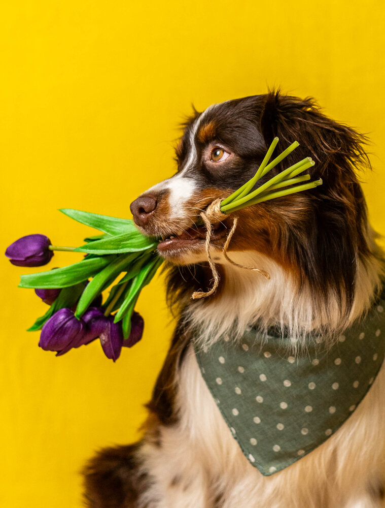 Photograph by Татьяна