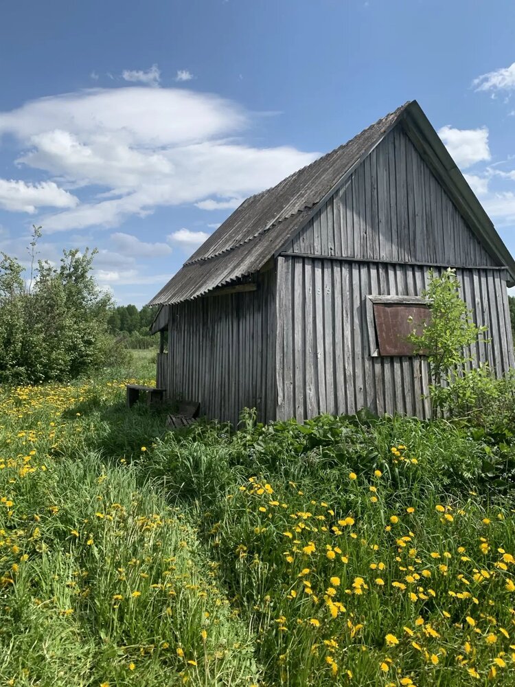Photograph by Елена Сунцова