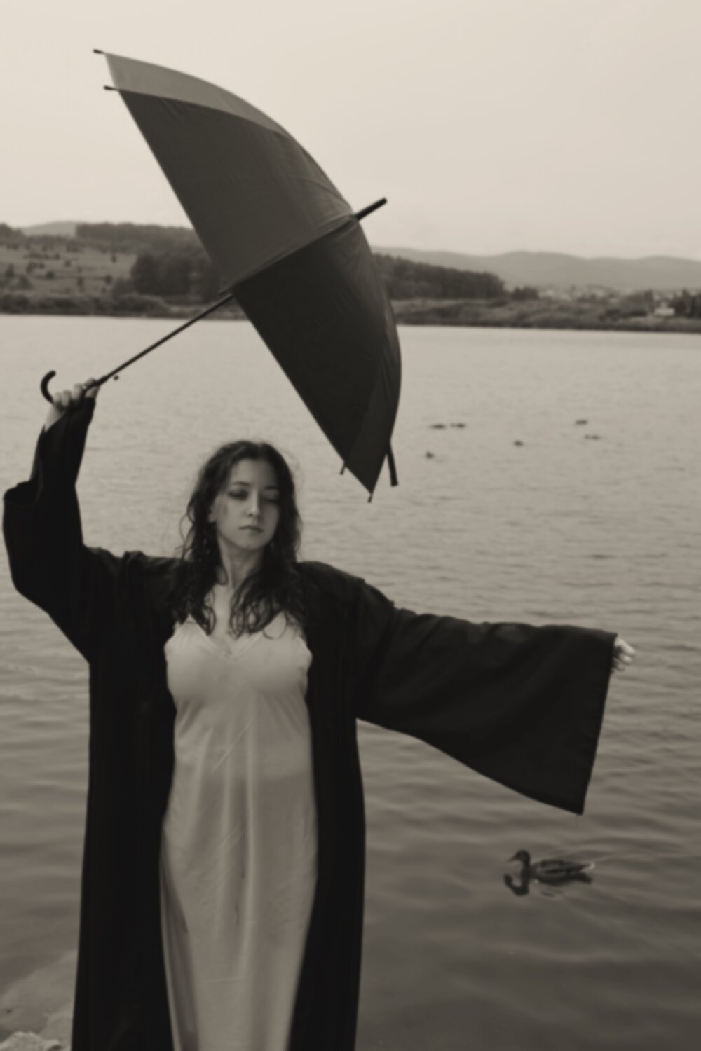 Photo #13823911