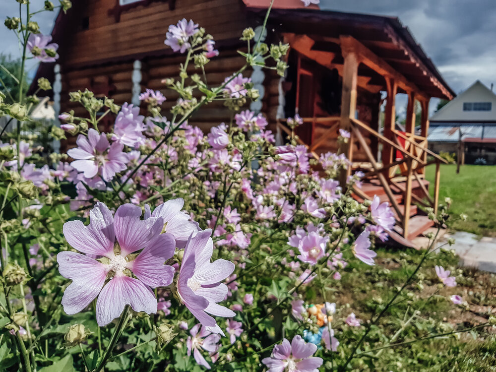 Фотография автора Людмила Сергеева