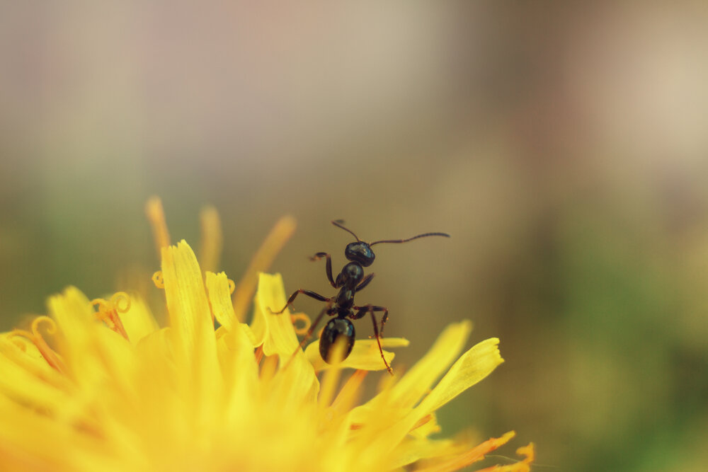 Photograph by Aleksey Maevskiy