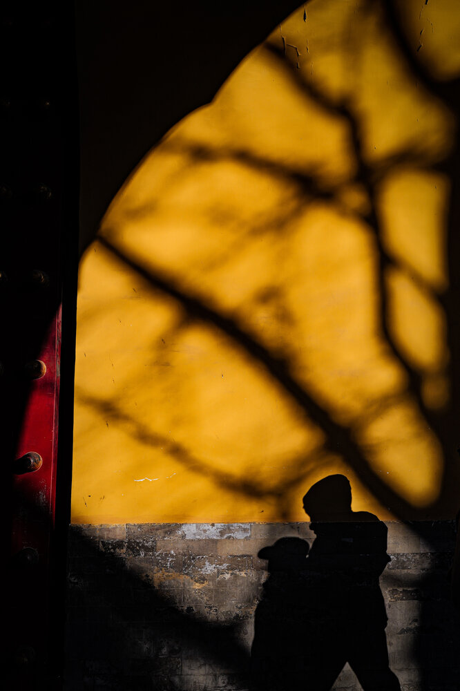 Photograph by Liu yingjie