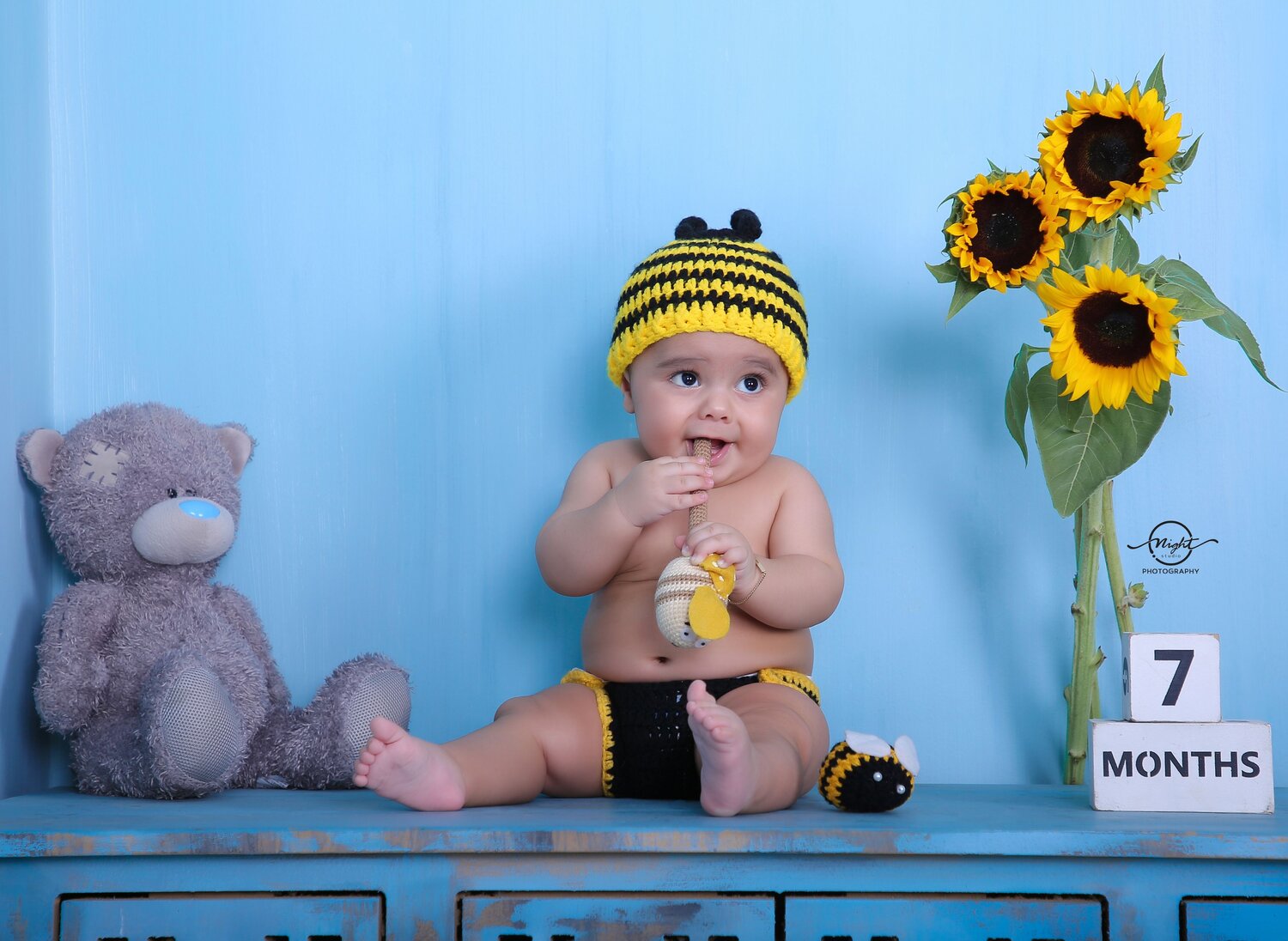 Photo #13823961