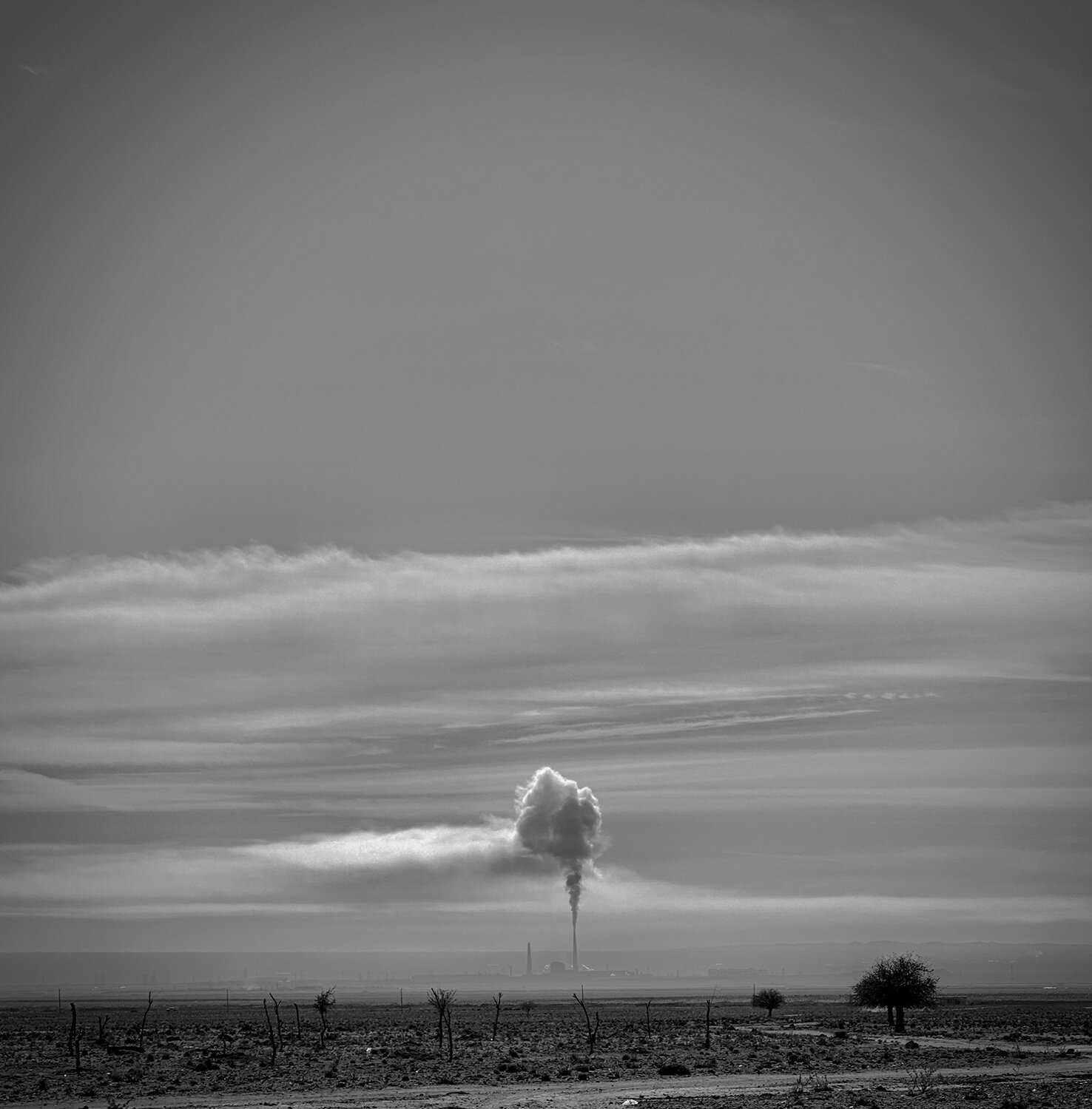 Photo #13823975
