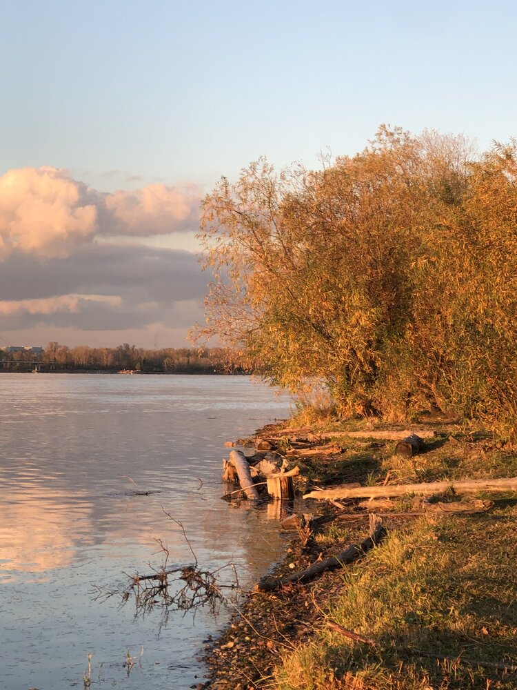 Фотография автора Светлана Гончарова