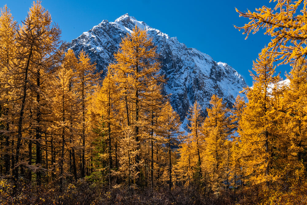 Photograph by Vladimir Ostapenko