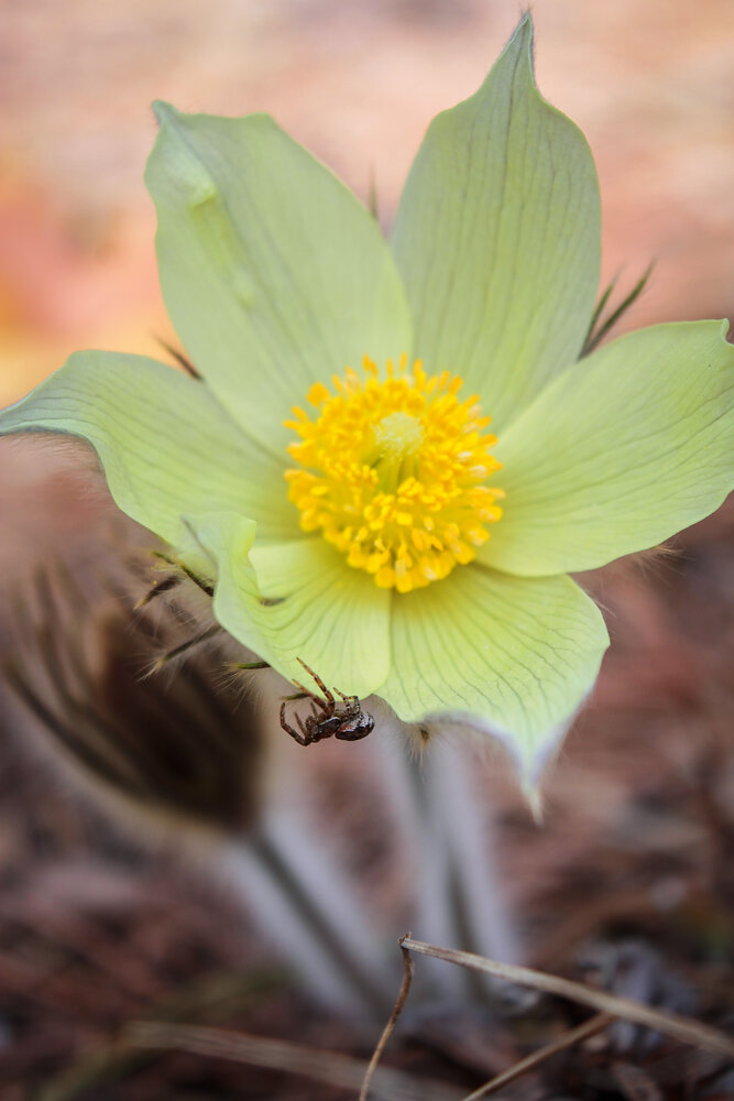 Photograph by Наталья Иванова