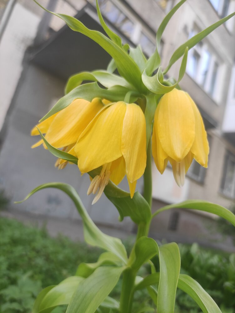 Photograph by Юлия Новожилова