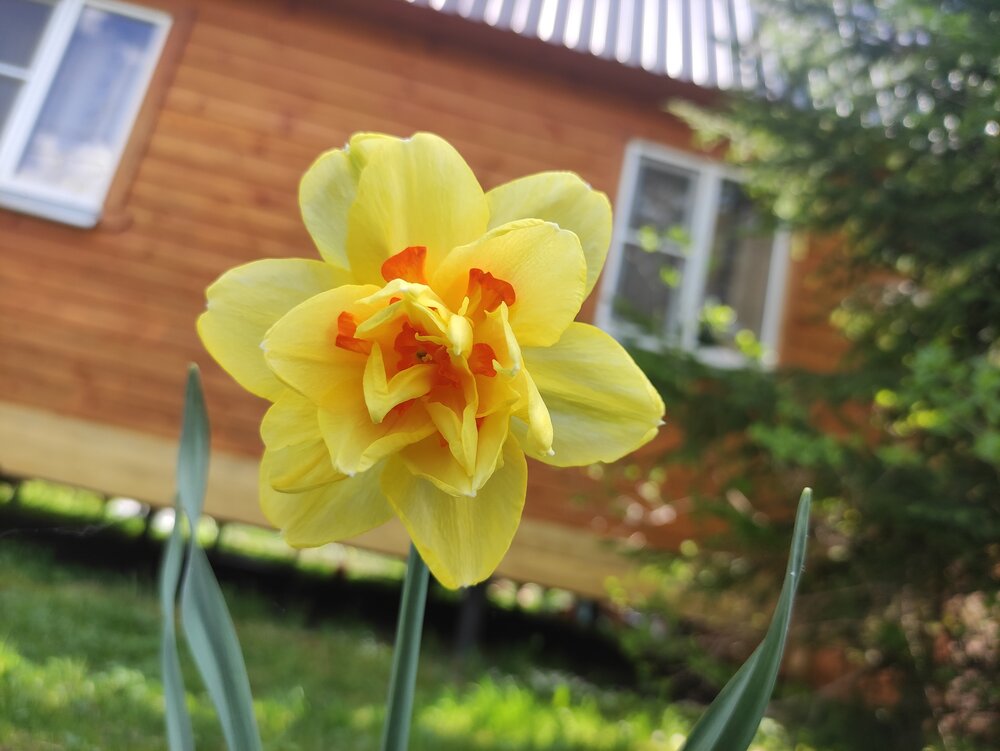 Photograph by Юлия Новожилова