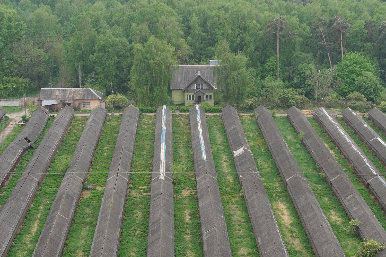 Photo #13824180