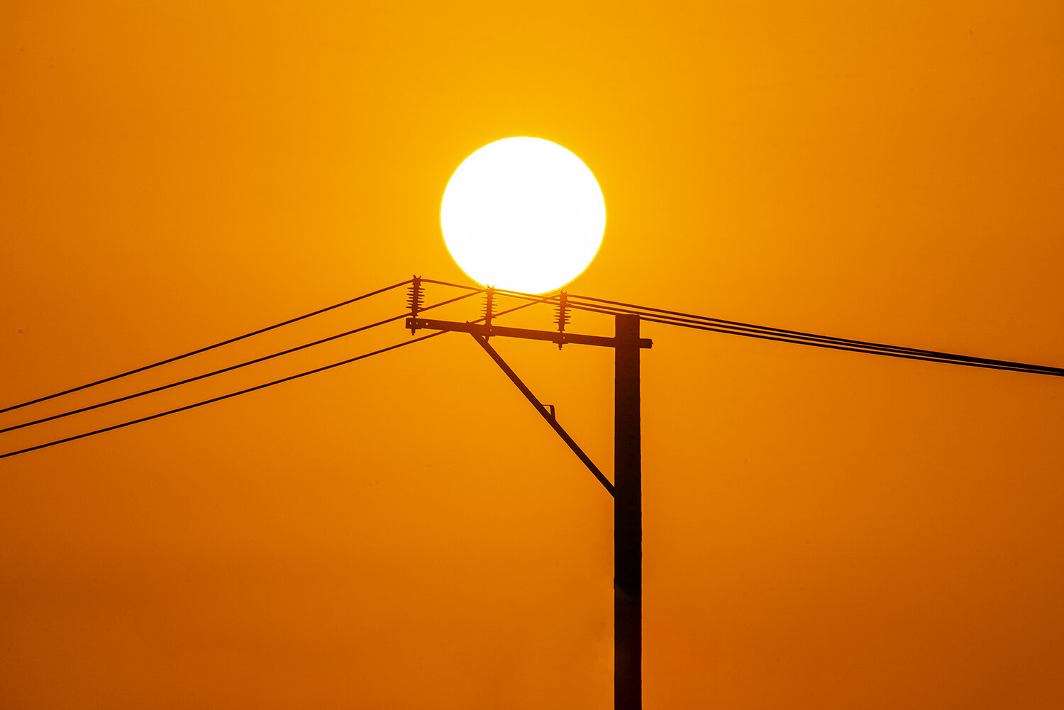 Photo #13824214
