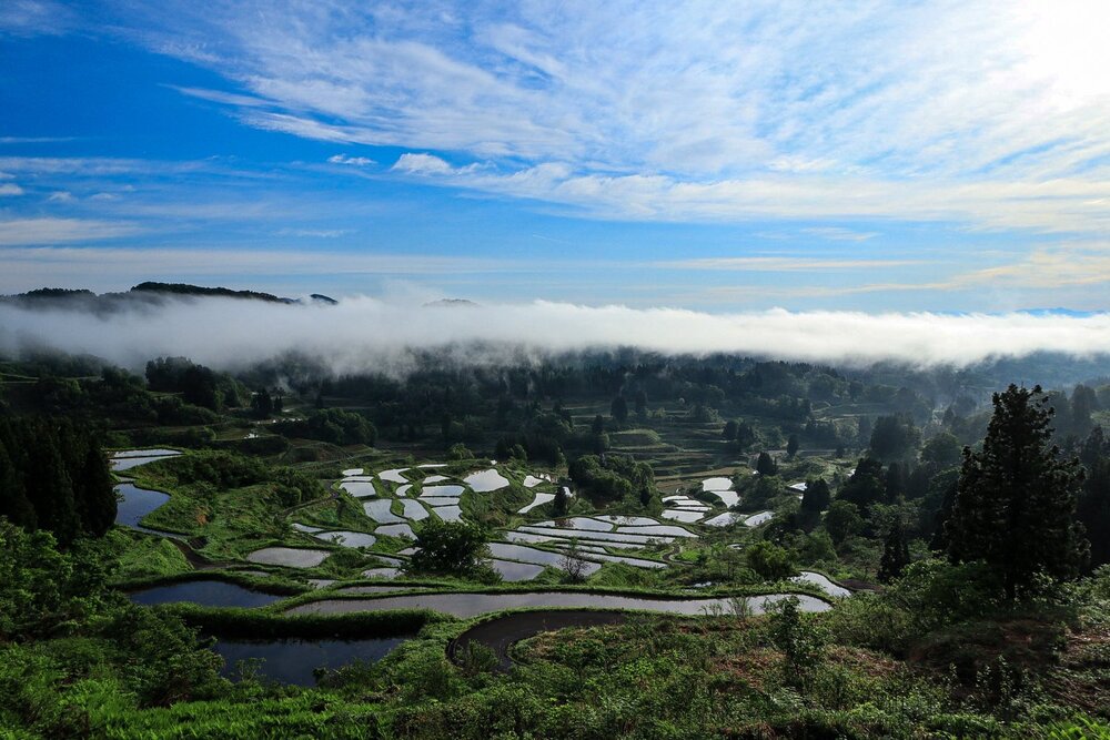 Photograph by Gunma No UMA