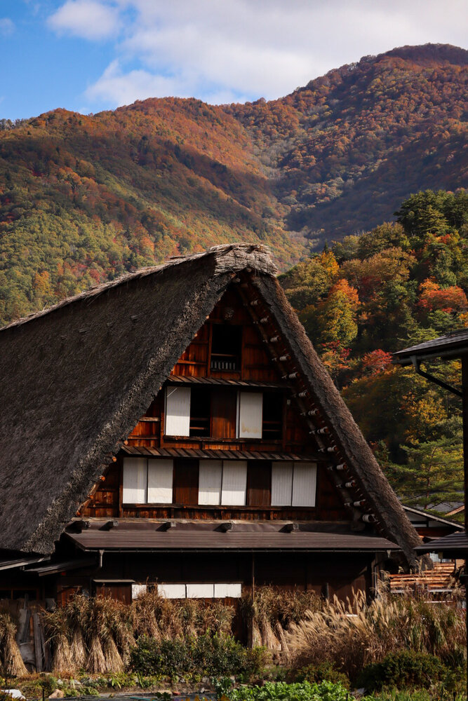 Photograph by Gunma No UMA