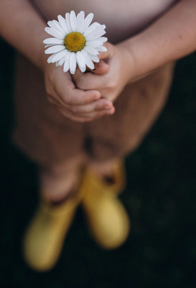 Photograph by Vera Soroka