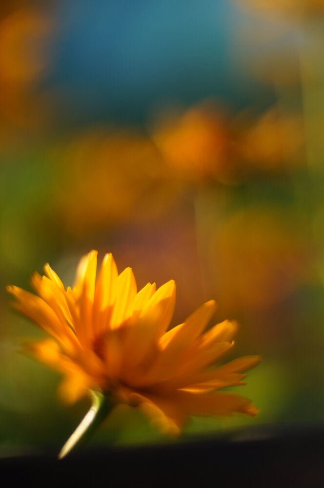 Photograph by Бахров Кирилл