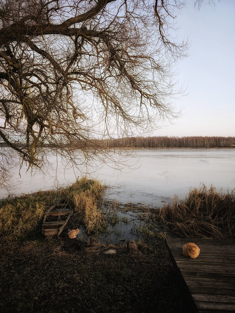 Photograph by Елена Ямнюк