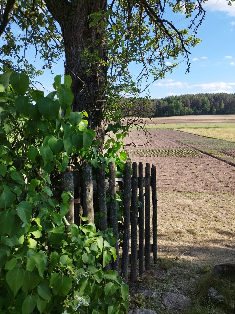 Photo #13824418