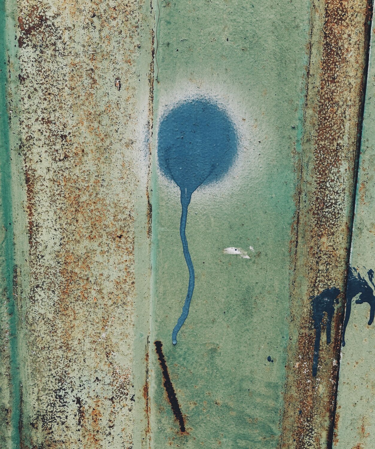 Photo #13824423