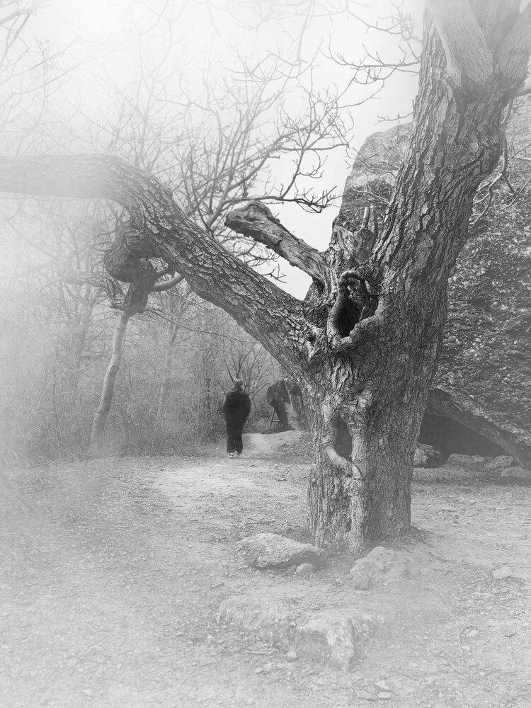 Photograph by OLGA MIKHNEVICH