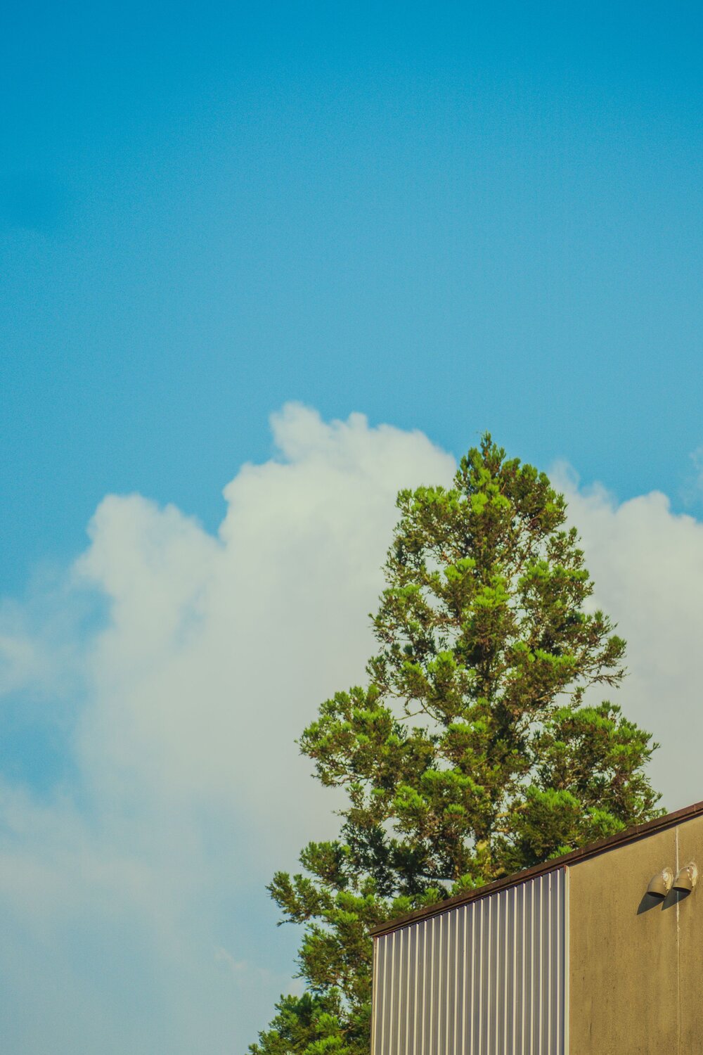 Photo #13824613