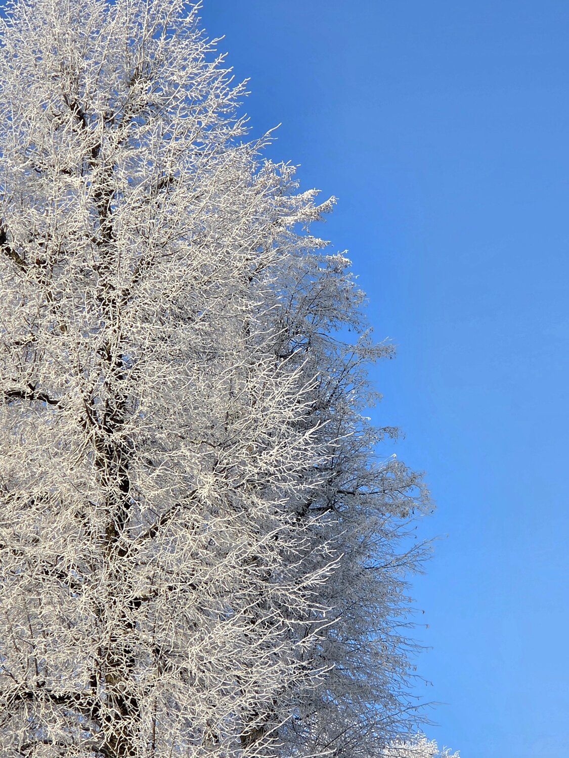 Photo #13824631