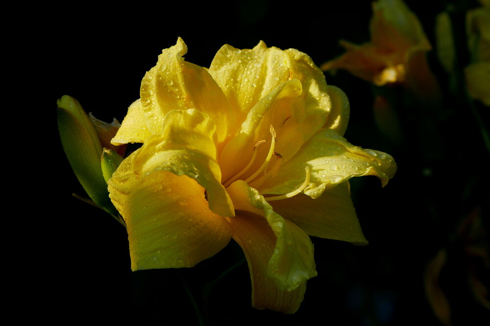 Photograph by Владимир Лобанов