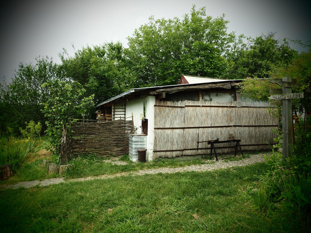 Photograph by Сергей Борисов
