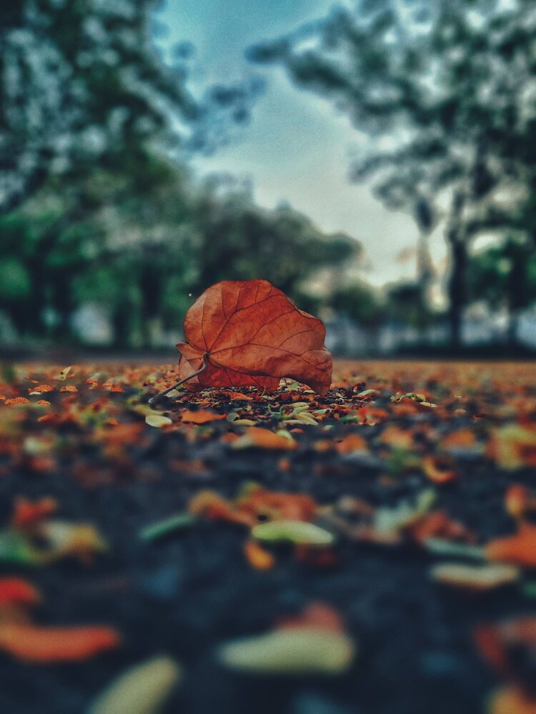 Photograph by Walfrido Alexandre