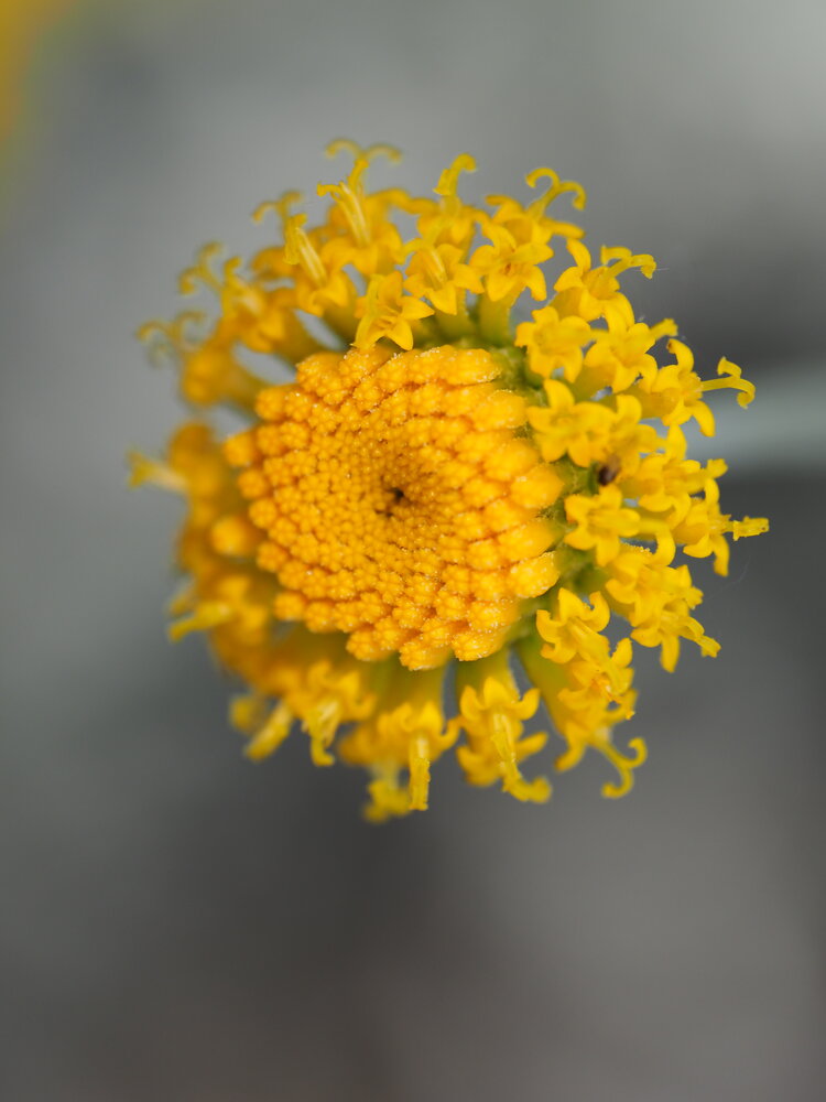 Photograph by Сергей Борисов