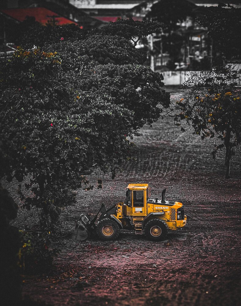 Фотография автора Walfrido Alexandre