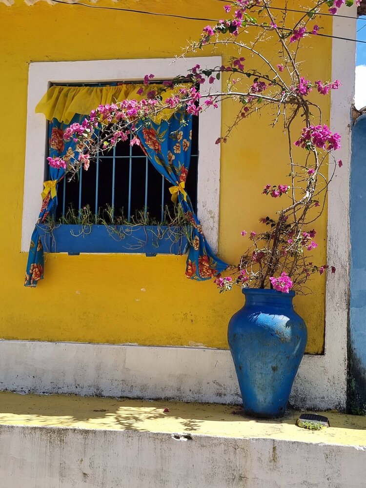 Фотография автора Walfrido Alexandre